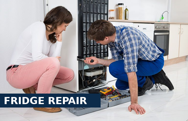Fridge Repair Earlsfield